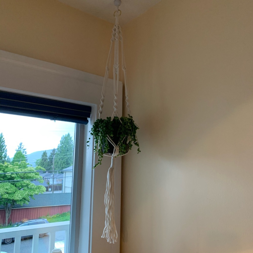 Crochet Plant Hanger